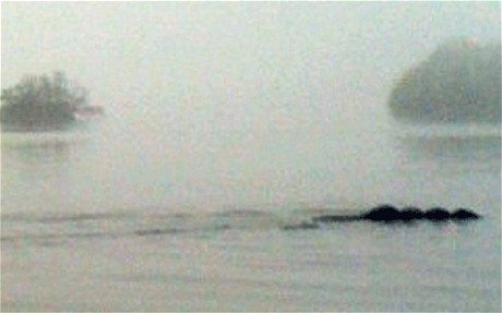 loch-ness-monster-best-photo