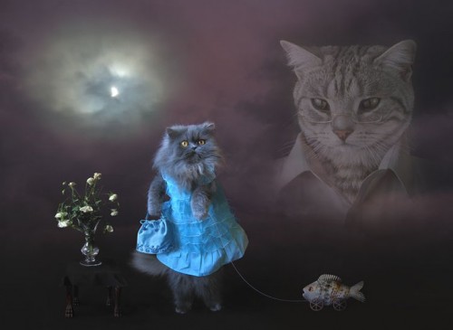 the best on the internet