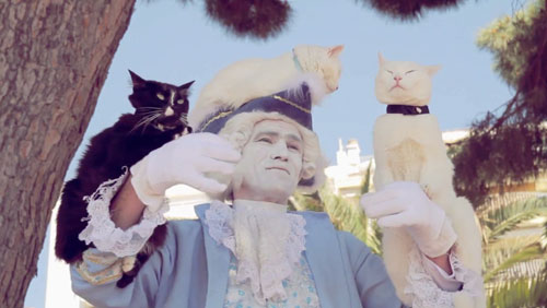 l-homme-chat