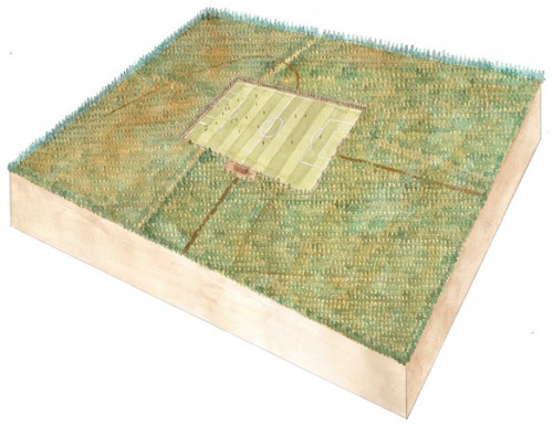 forest-pitch-2
