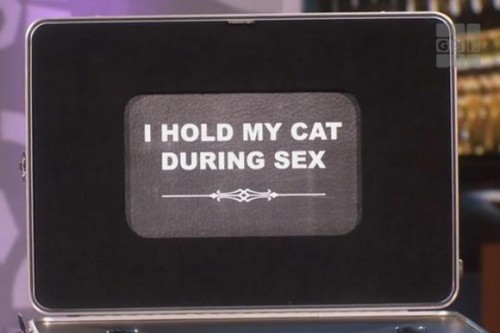 baggage-bedroom-cat-tastrophe