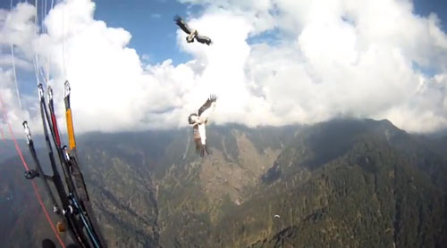 himalayan-eagles-vs-paraglider