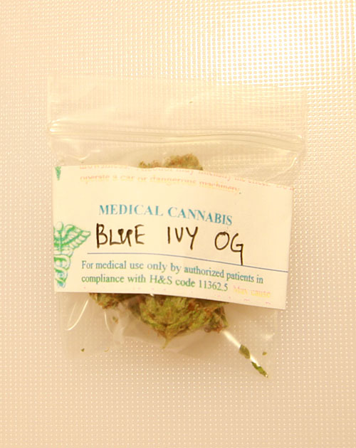 blue-ivy-og