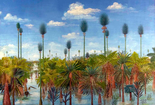 298-million-year-old-forest-coal-mine-china