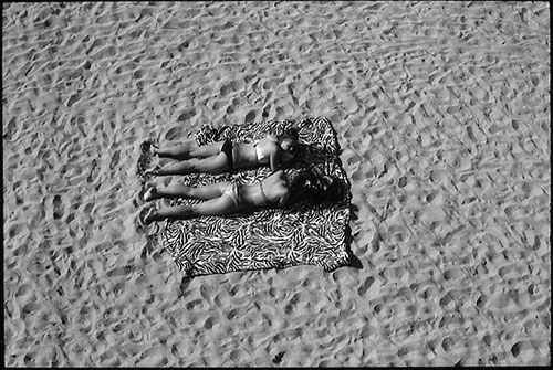 ed-templeton