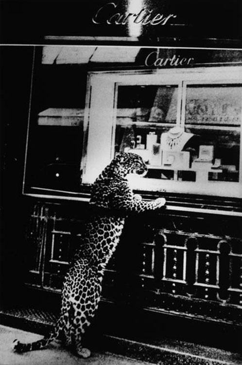 daido-moriyama