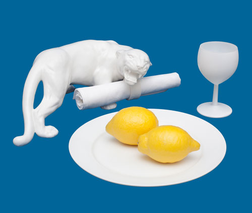 white-animal-life