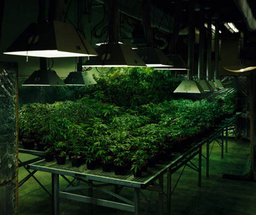 Best Grow Room Fans Best Grow Room Fans