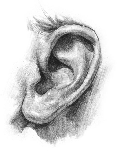 earwax