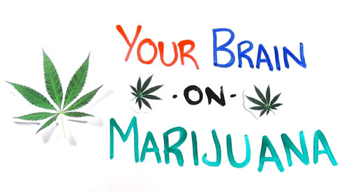 your-brain-on-pot