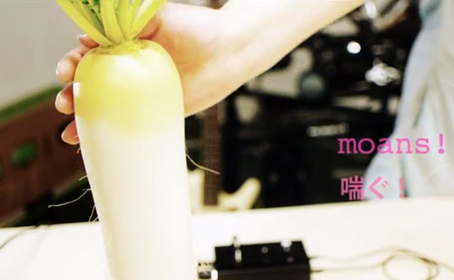 sexual-harrassment-radish-daikon