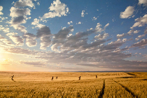 ryan-mcginley