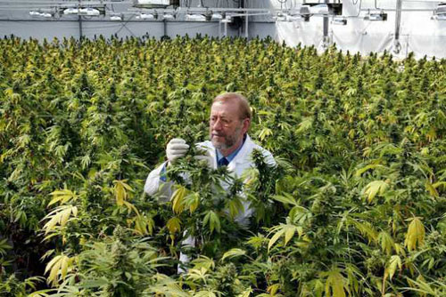 scientist-pot
