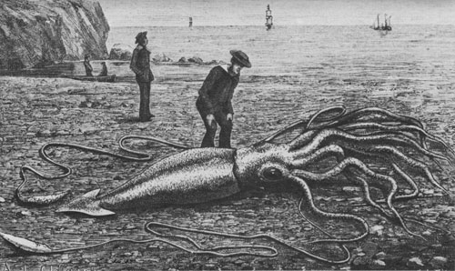 squid-hunter