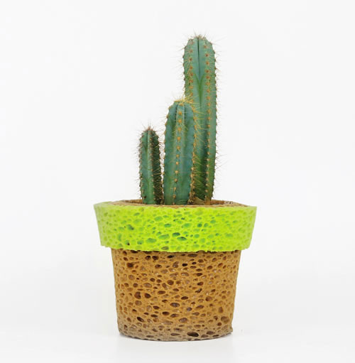 Stefano-Claudio-Bison-InVaso-sponge-planter-vase