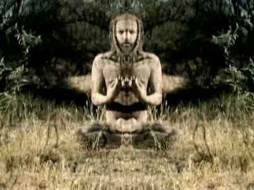 bad-ayahuasca