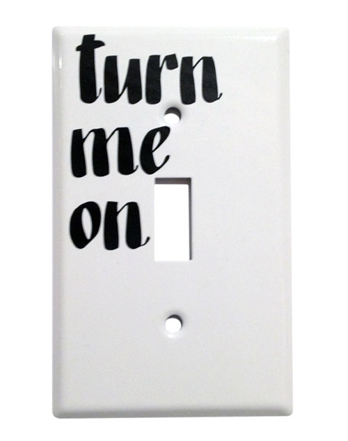 baron-von-fancy-light-switch-cover