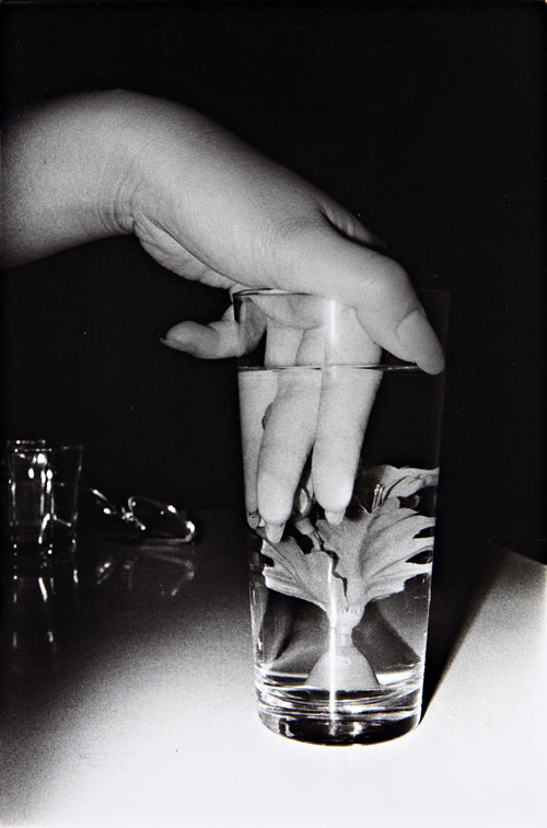 daido-moriyama