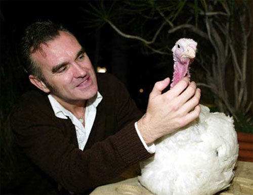 morrissey-vegetarian