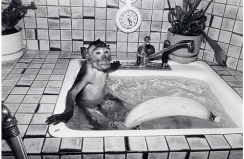 robin-schwartz
