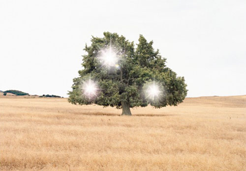 andrea-galvani