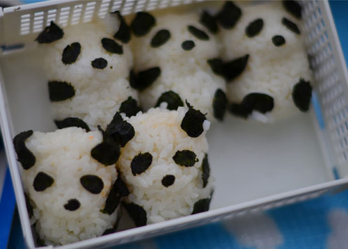 japanese-picnic-panda-food