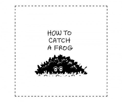 how-to-catch-a-frog