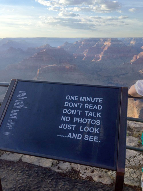 look-see