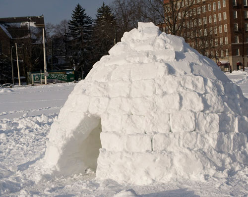 urban-igloo