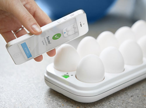 egg-minder