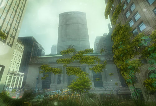 jungle-view