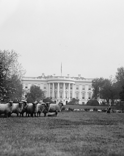 farming-at-the-white-house