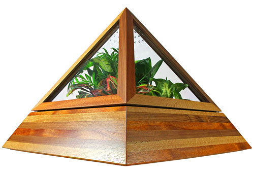pyramid-terrarium