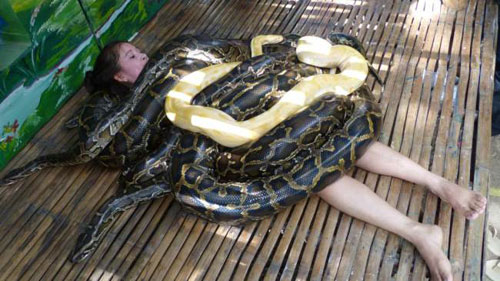 snake-massage