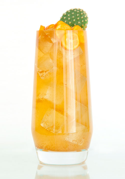SoCal-Cactus-foraged-cocktails
