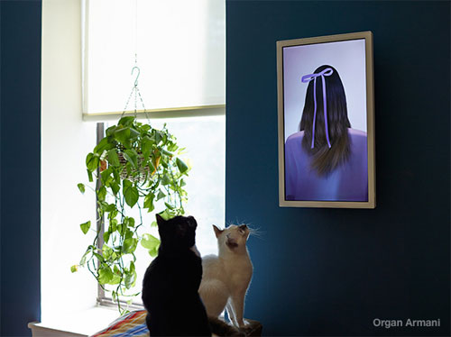 electric-objects
