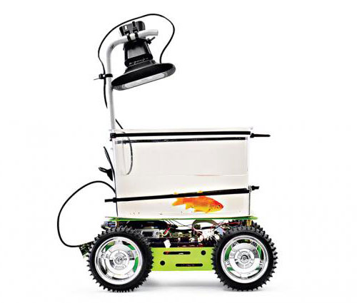 robotic-car-for-fish