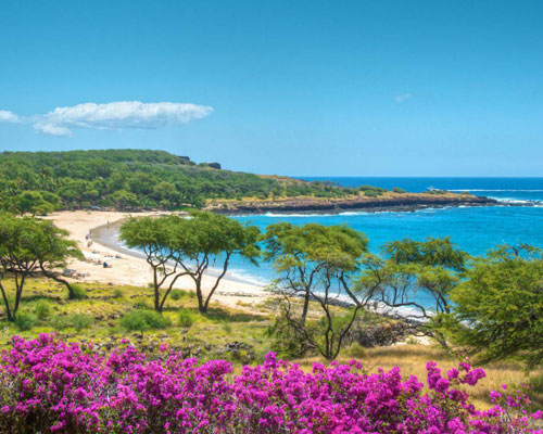 lanai