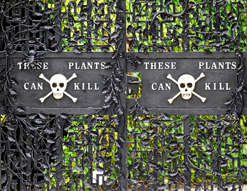 poison-garden