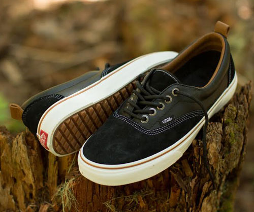 wintertime-vans
