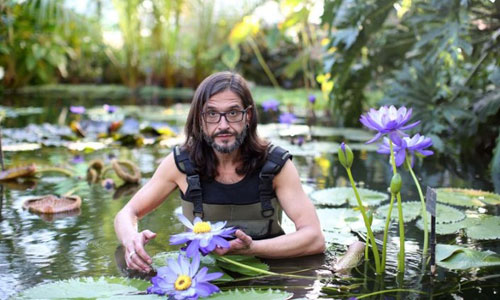 water-lilly-thief