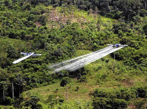 coca-planes