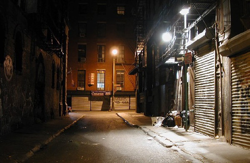 Dog Alley I Did Not Run Its Shoes Lebowsdi Dog Alley I Did Not Run Its Shoes Lebowsdi
